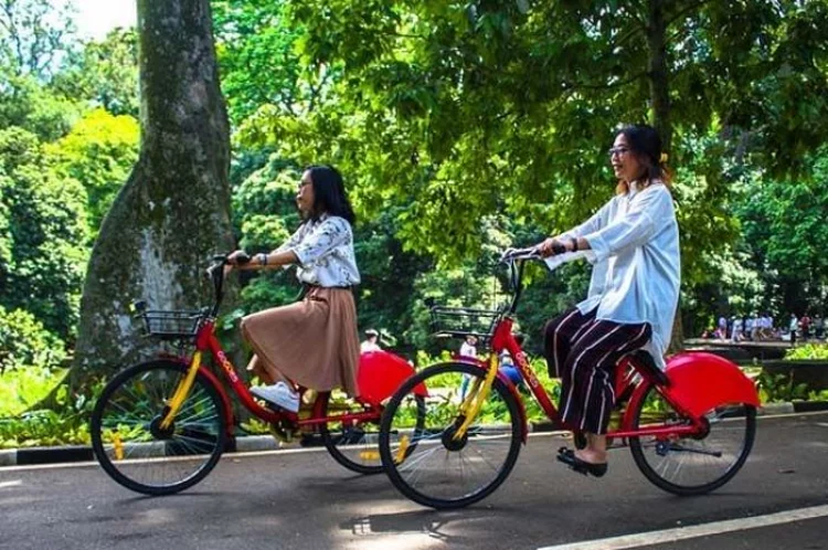 Itinerary Liburan Sehari di Kebun Raya Bali, Ada Danau hingga Kebun Anggrek