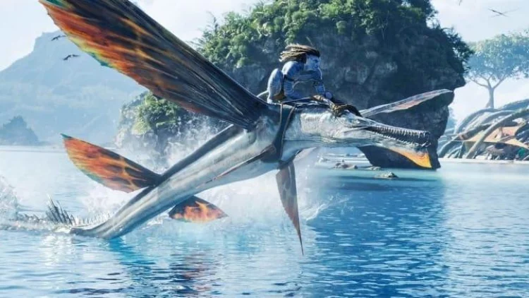 Ada Ikan Terbang di Film Avatar 2, 18 Jenis Ada di Laut Indonesia
