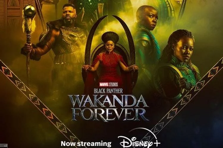 Link Film Black Panther Wakanda Forever Full HD Sub Indonesia
