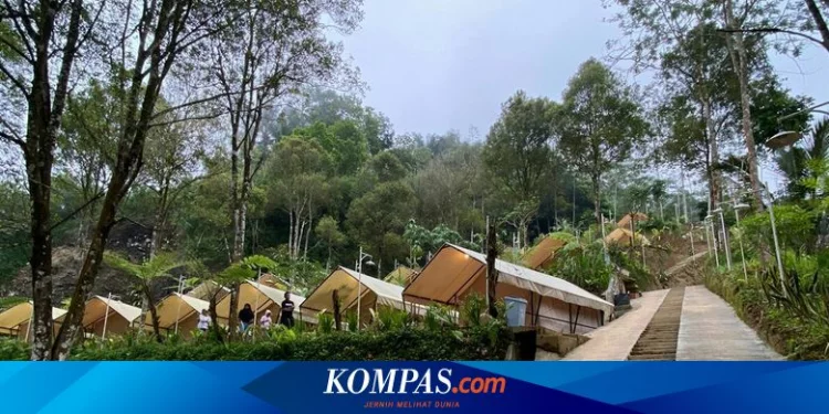 6 Aktivitas di Glamping Menoreh Yogyakarta, Makan Siang di Hutan