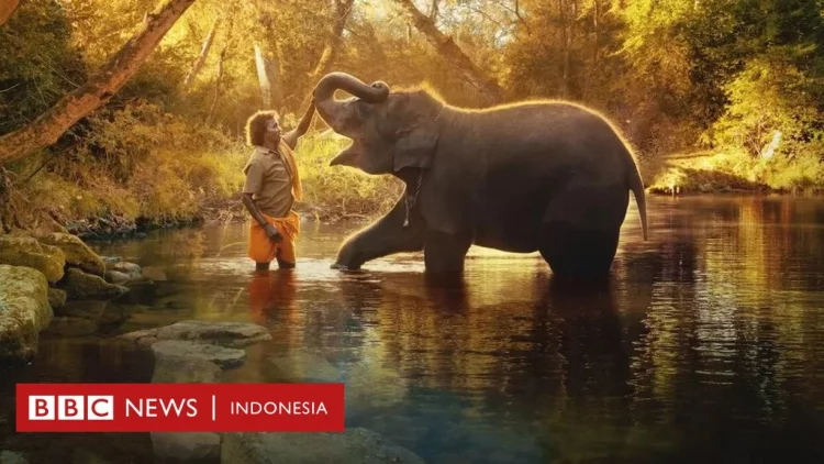 'The Elephant Whisperers': Film India pemenang Oscar diduga tidak membayar tokoh utamanya