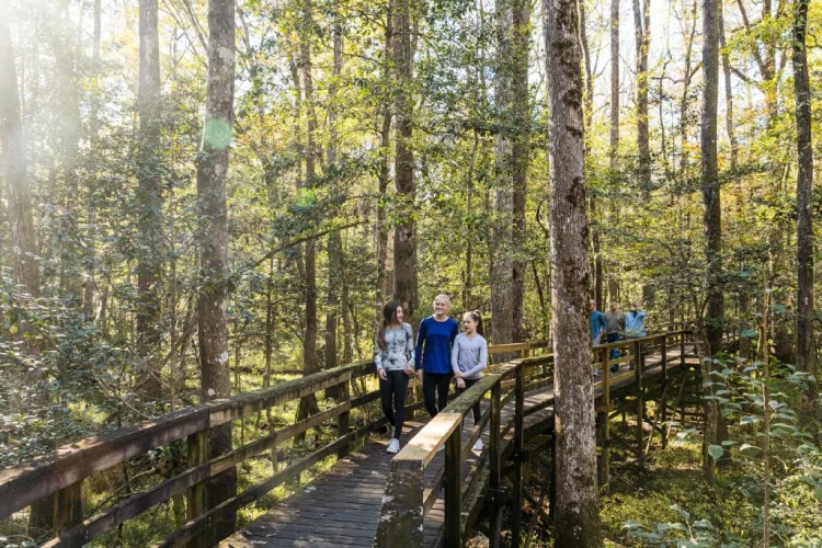 ITINERARY: A Family-Friendly Weekend Getaway in Columbia, S.C.