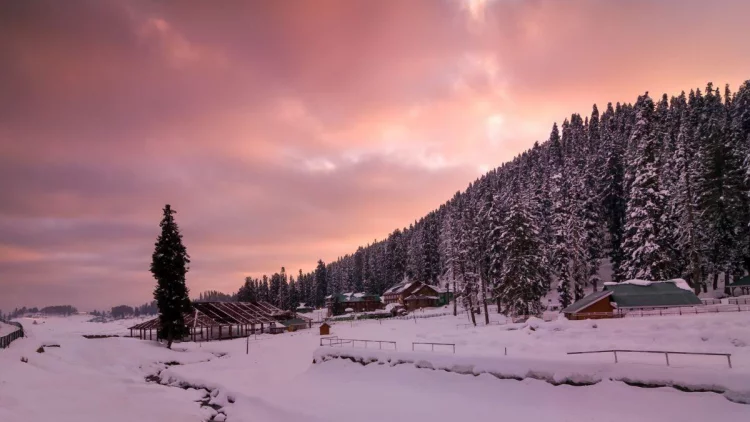 Planning A Short Trip To Kashmir? Here's A Perfect 2-day Itinerary To Explore This Winter Getaway