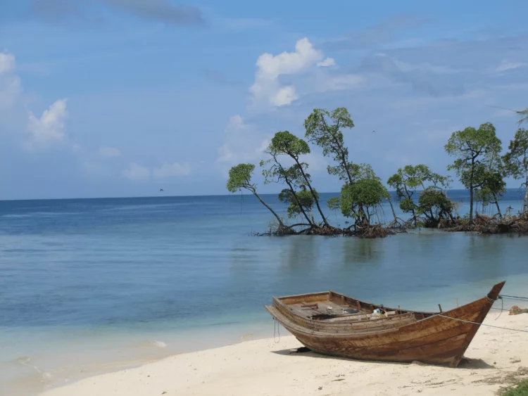 Enjoy ‘Wondrous Andaman’ package with IRCTC: Itinerary, cost and all you need to know