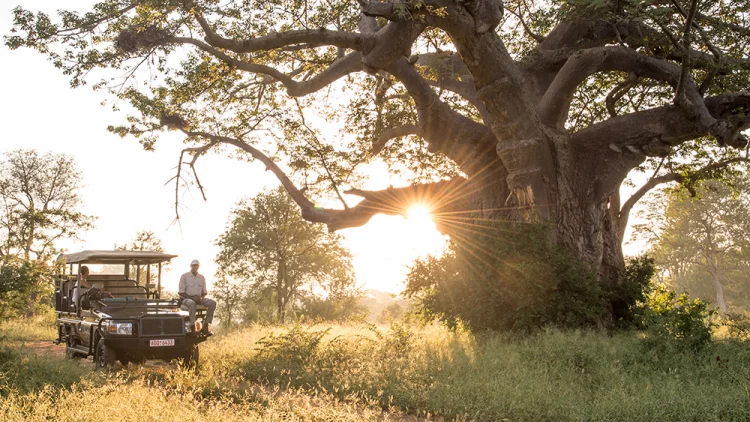 Why the Best African Safaris Aren’t Always the Most Luxurious