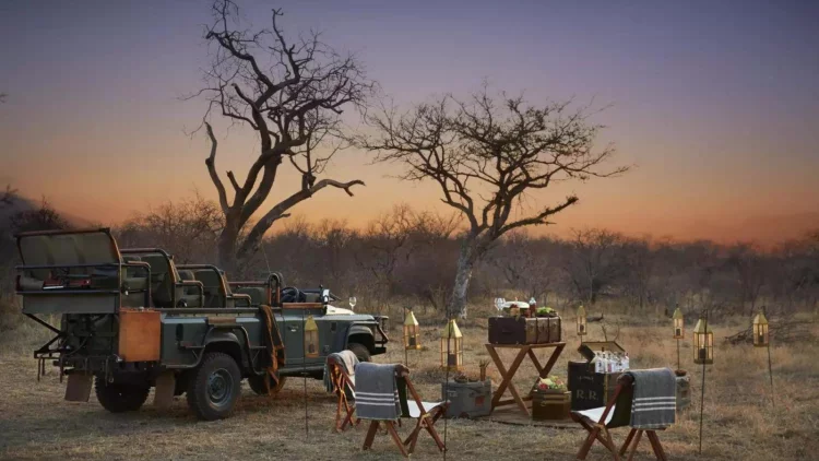How To Plan A Luxury Trip In South Africa