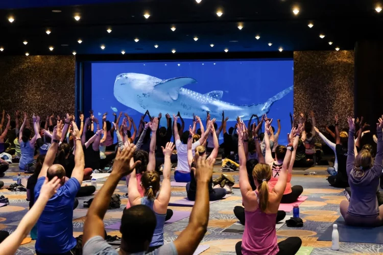 Relax and Rejuvenate: Your Ultimate Atlanta Wellness Itinerary